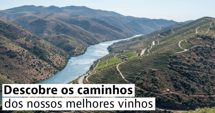 Douro vinhateiro