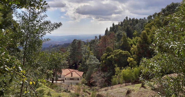 Beyond the beach in the Algarve