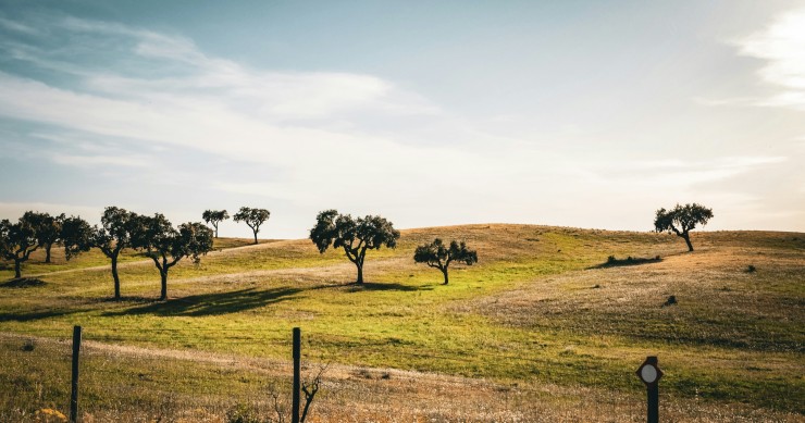 terrenos em Portugal