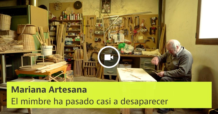 El mimbre ha pasado casi a desaparecer