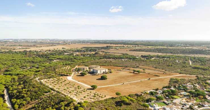 Prazo para limpeza de terrenos