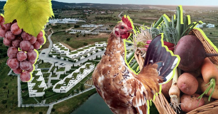 agrihoods