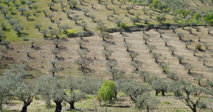 L'Alentejo, la région portugaise classée parmi les meilleures destinations gastronomiques du monde