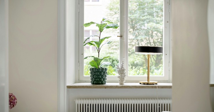 Plantas