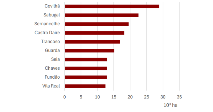 10 municípios com maior área ardida