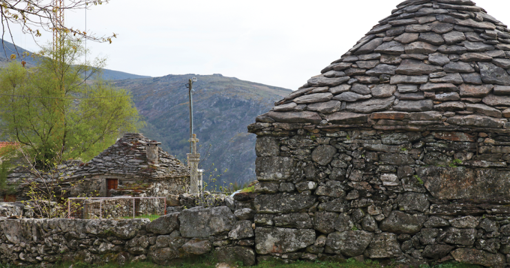 cardenhas em Santo António de Val de Poldros