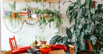 Ideias de decoração: dicas para criar um jardim interior em casa