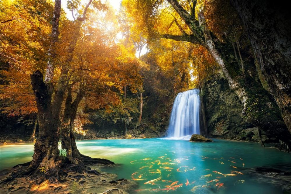 Selva de Kanchanburi, Tailândia / National Geographic