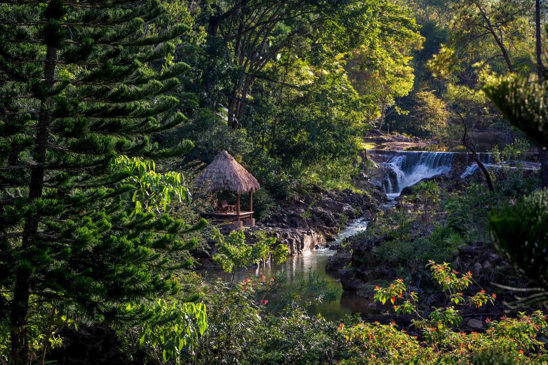 Um paraíso no meio da floresta
