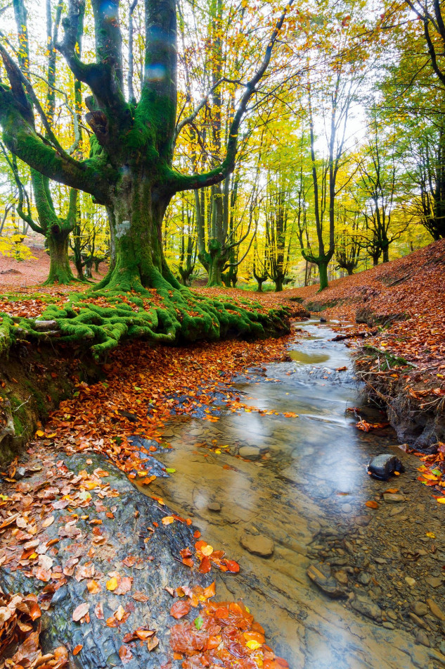 Parque Natural de Gorbea, País Basco, Espanha / National Geographic