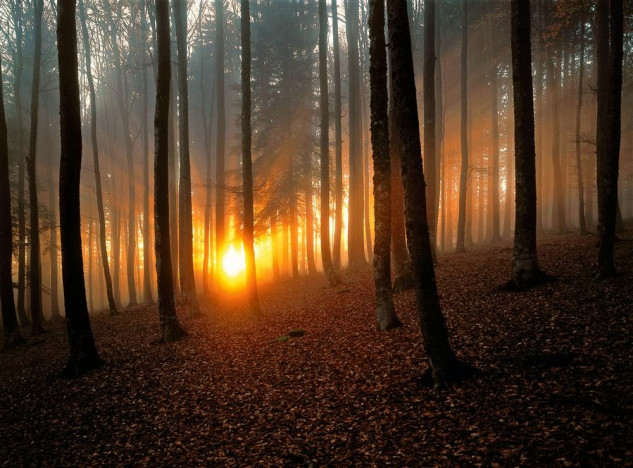 Selva Negra, Alemanha / National Geographic