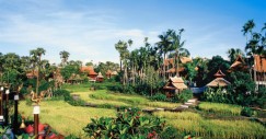 dhara_dhevi3_0
