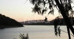 img16354_g