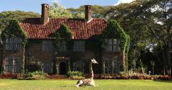 giraffe-manor2