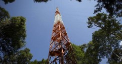 A torre mais alta da América Latina está no meio da Amazónia (fotos)
