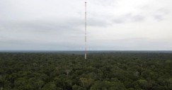 torre-2