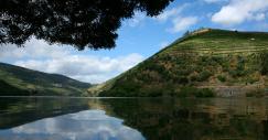 975x660_douro_140x87