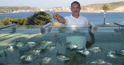 aquarium_fence_02