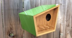 nidos_pajaro_03