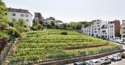 casa_vinedo_paris_01