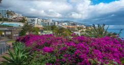 funchal