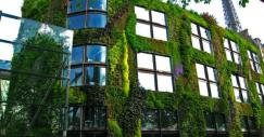 museo_del_muelle_branly_paris_francia