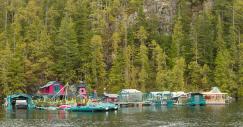 freedom_cove_00