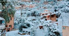 Os "estragos" que a vaga de frio da Península Ibérica já fez em Espanha