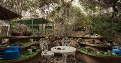 parque_jurasico_04