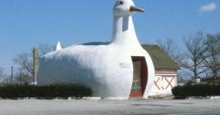 the_big_duck