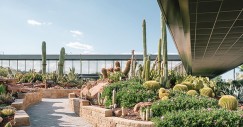 jardin_de_cactus-madrid