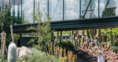 jardin_de_cactus-madrid2