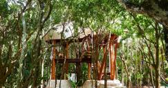 treehouse-papaya-playa-project-hotel1