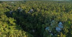 A Green Village encontra-se em pleno bosque de Ubud, na ilha de Bali