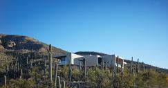 home-901-designboom-2