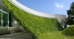 organic_design