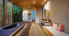 A casa parece mergulhada numa verdadeira selva