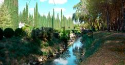 Casas com jardim