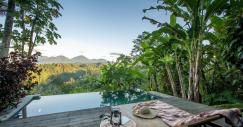 Buahan Banyan Tree Escape