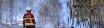 Portugal wildfires