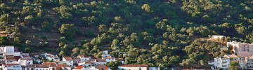 cheapest places to buy in the Algarve