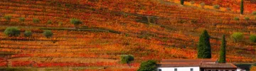 Portugal in Autumn