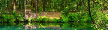 Lagoa da Esturranha