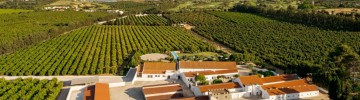 Casas da Quinta de Cima