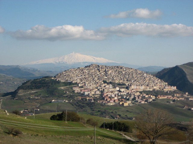 Wikimedia commons