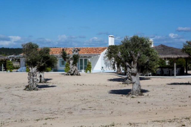 Moradia de Salgado na Comporta, fotografada pelo Público
