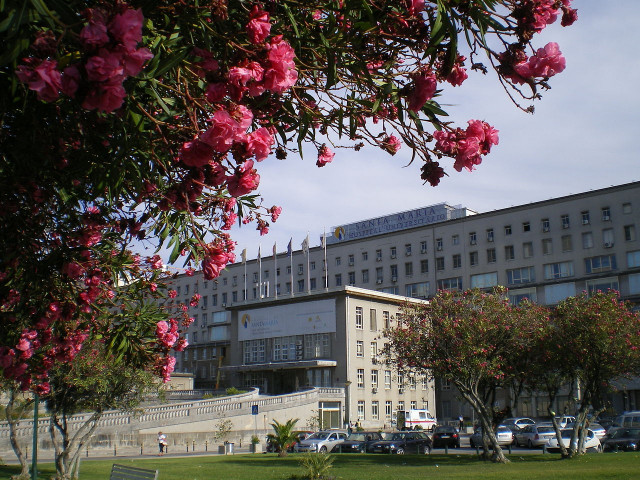 Wikimedia commons