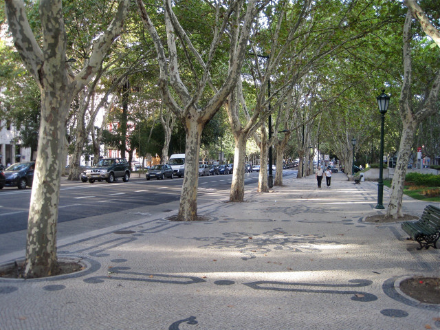 Wikimedia Commons