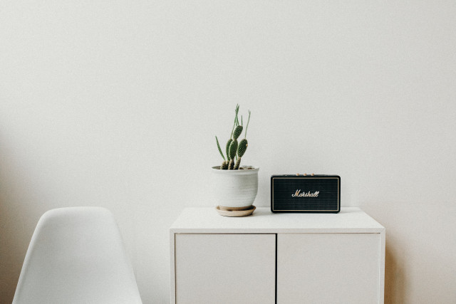 Liana Mikah/Unsplash