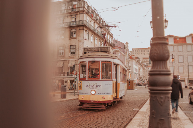 bruno araujo/Unsplash